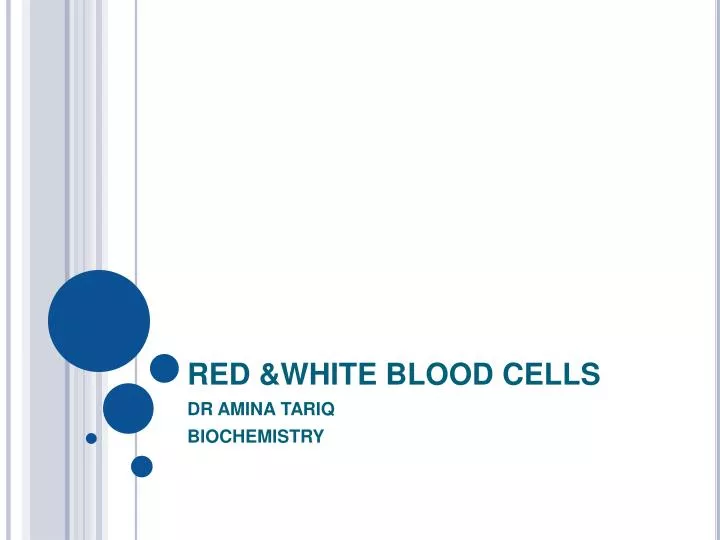 red white blood cells