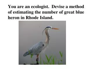 You are an ecologist. Devise a method of estimating the number of great blue heron in Rhode Island.