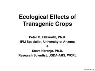 Ecological Effects of Transgenic Crops