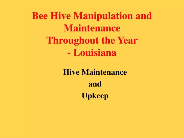 bee hive manipulation and maintenance throughout the year louisiana