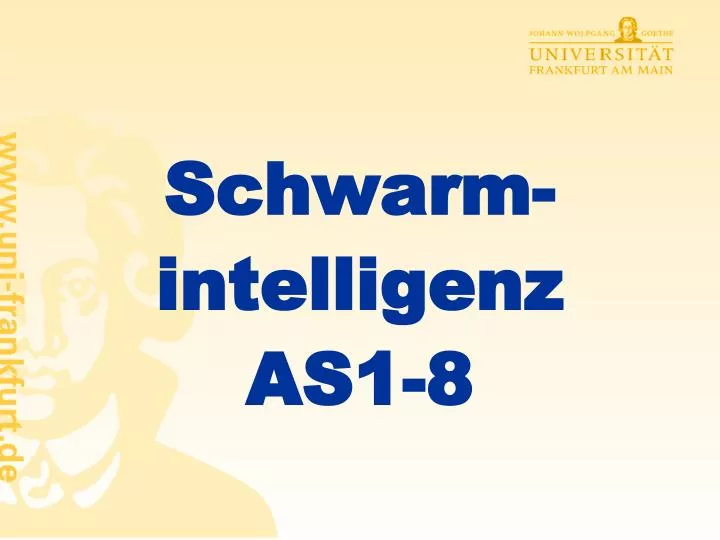 schwarm intelligenz as1 8