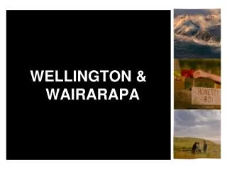 WELLINGTON &amp; WAIRARAPA