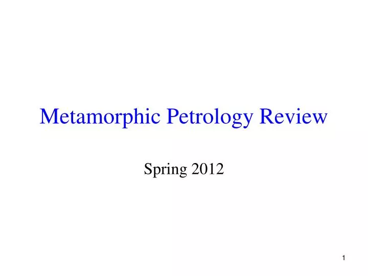metamorphic petrology review