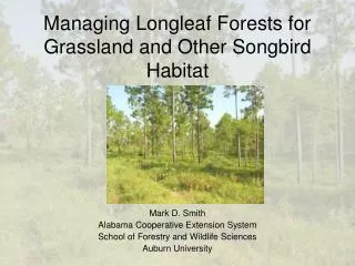 Managing Longleaf Forests for Grassland and Other Songbird Habitat