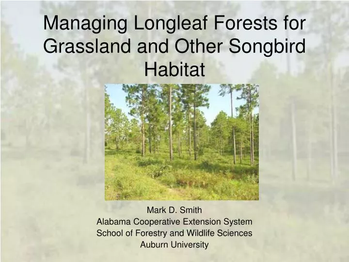 managing longleaf forests for grassland and other songbird habitat