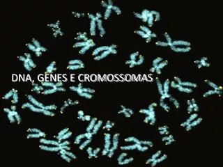 DNA, GENES E CROMOSSOMAS