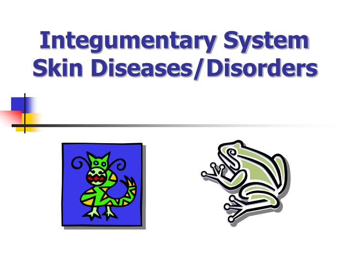 integumentary system skin diseases disorders