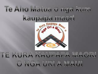 Te Aho Matua o nga kura kaupapa maori