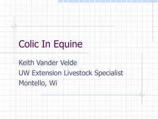 Colic In Equine