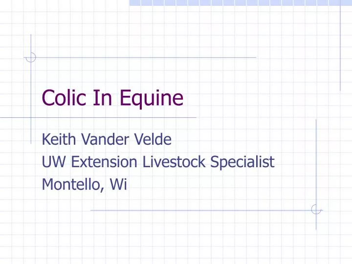 colic in equine