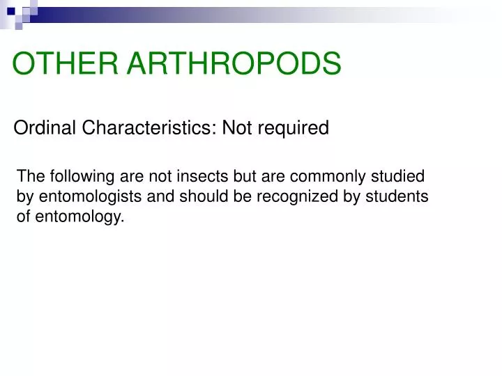 other arthropods