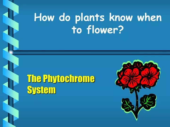 how do plants know when to flower