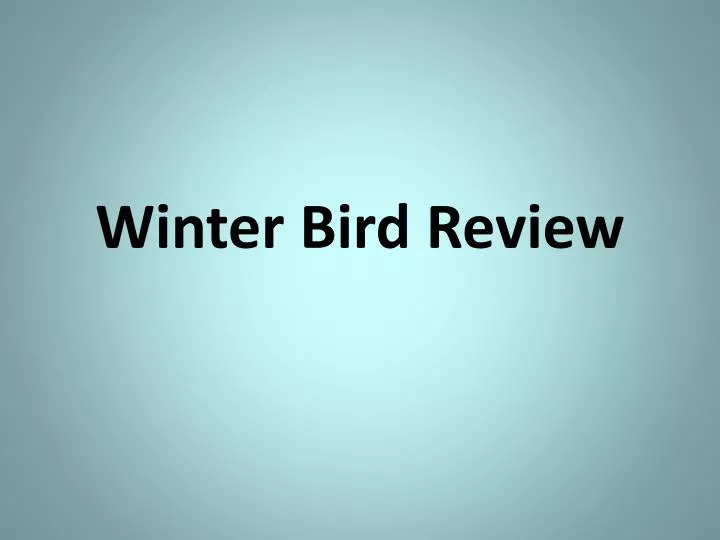 winter bird review