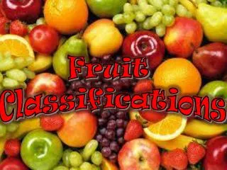 Fruit Classifications