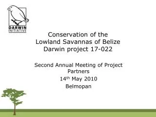 Conservation of the Lowland Savannas of Belize Darwin project 17-022