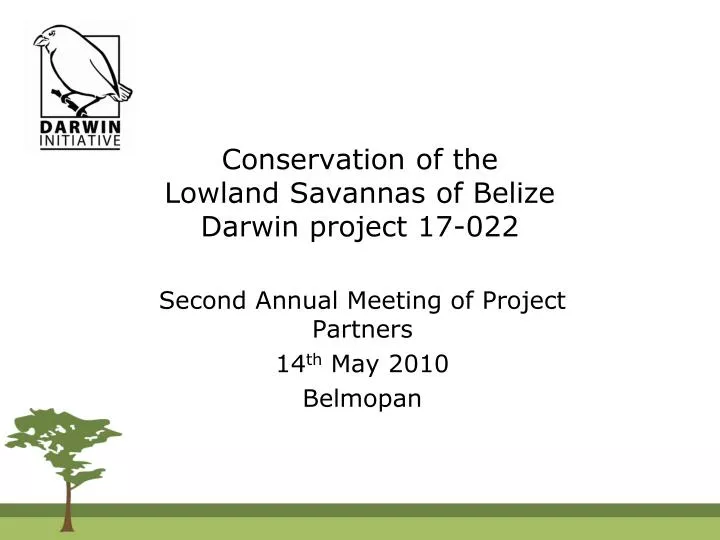 conservation of the lowland savannas of belize darwin project 17 022