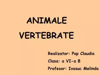 ANIMALE VERTEBRATE Realizator : Pop Claudia Clasa: a VI-a B Pro