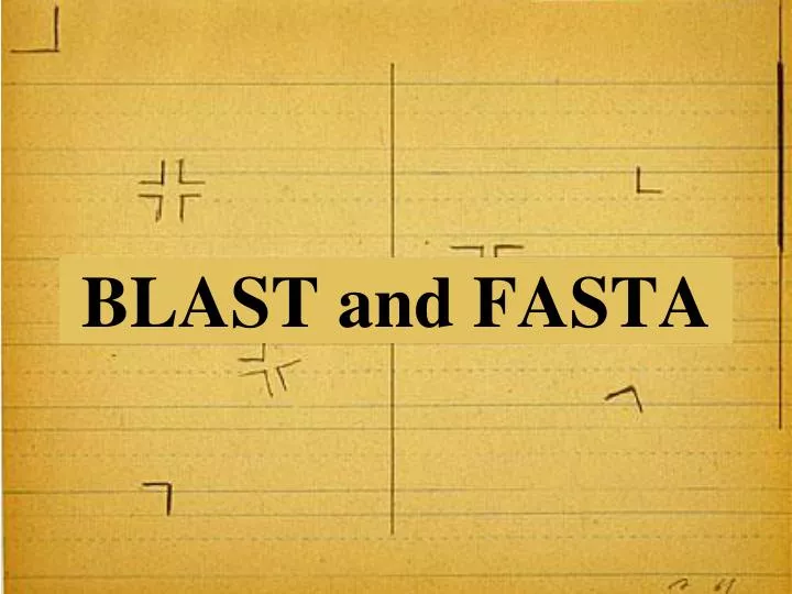 blast and fasta