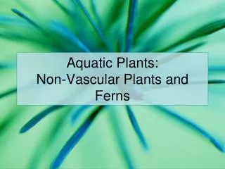 Aquatic Plants: Non-Vascular Plants and Ferns
