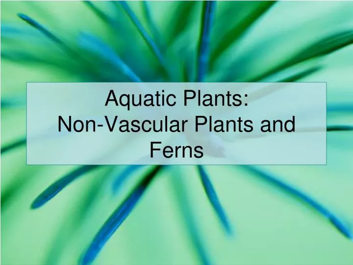 aquatic plants non vascular plants and ferns