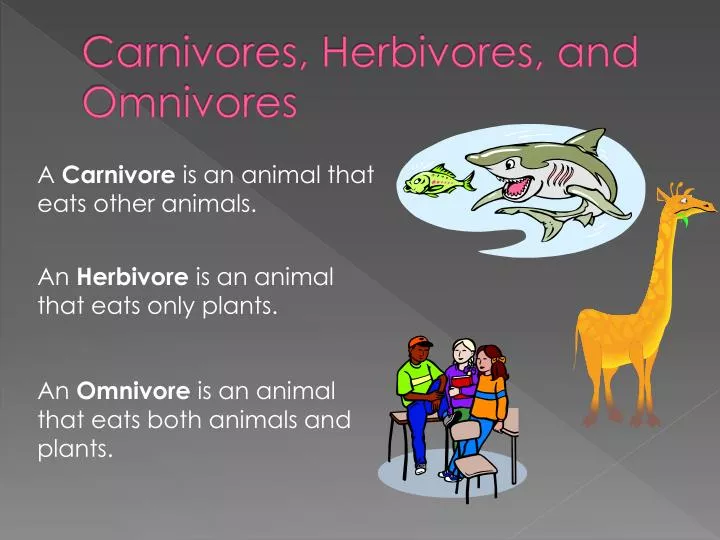 herbivore carnivore omnivore