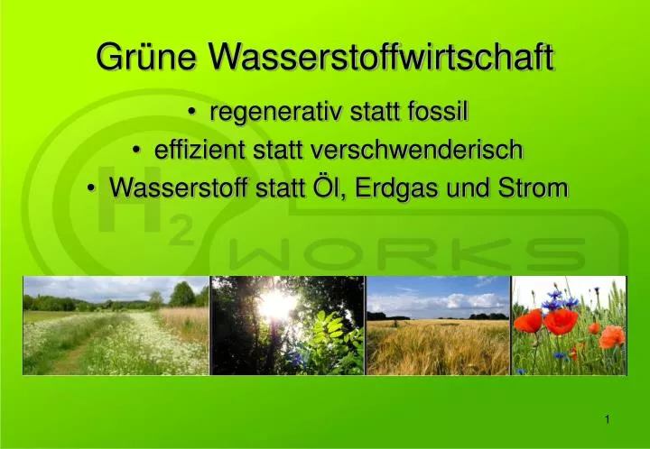 gr ne wasserstoffwirtschaft