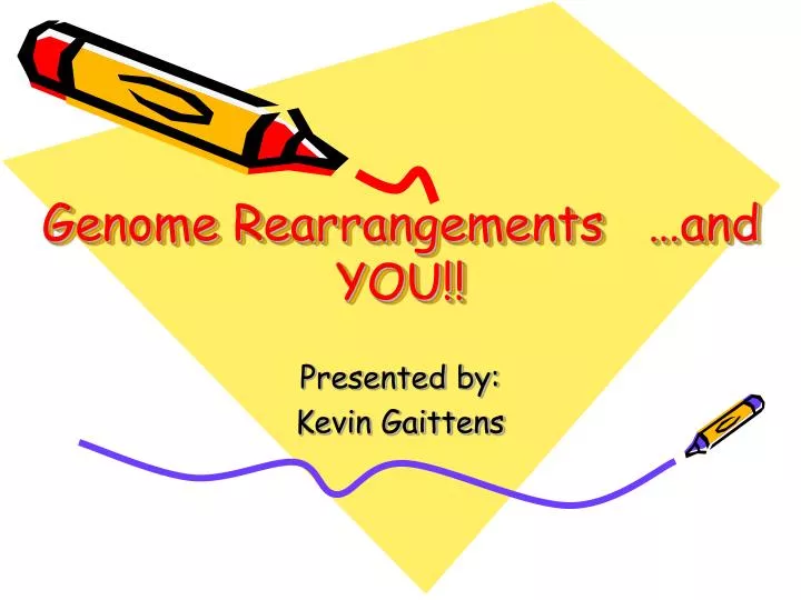 genome rearrangements and you