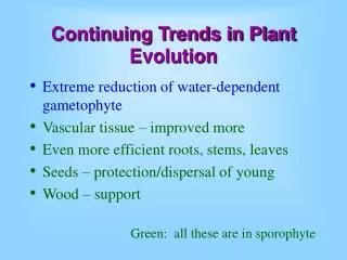 Continuing Trends in Plant Evolution