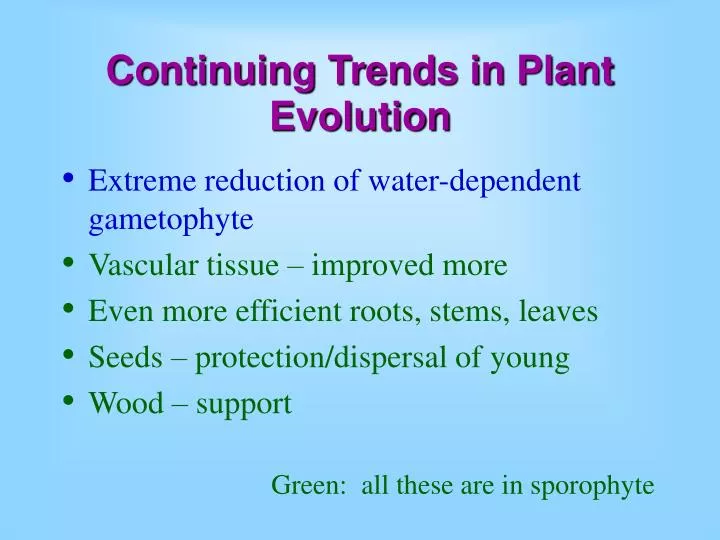 continuing trends in plant evolution