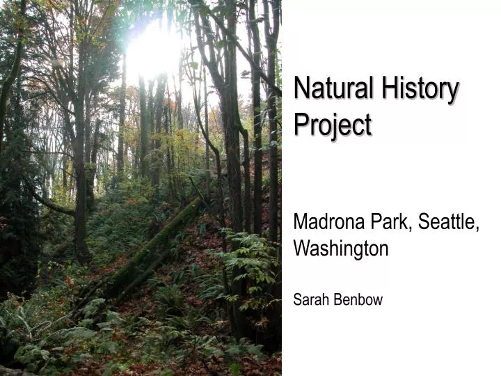 natural history project