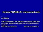 Static and TD (A)SLDA for cold atoms and nuclei - slide 1
