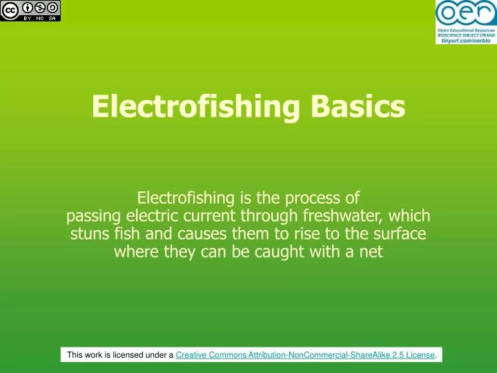 electrofishing basics