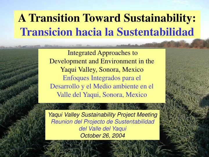 a transition toward sustainability transicion hacia la sustentabilidad