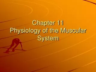 Chapter 11 Physiology of the Muscular System