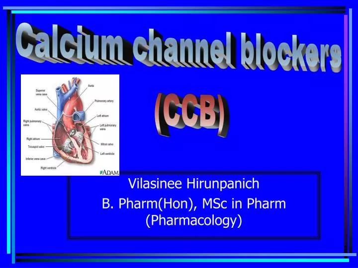 vilasinee hirunpanich b pharm hon msc in pharm pharmacology