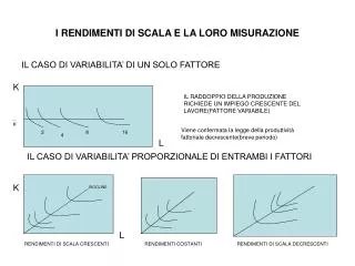 i rendimenti di scala e la loro misurazione