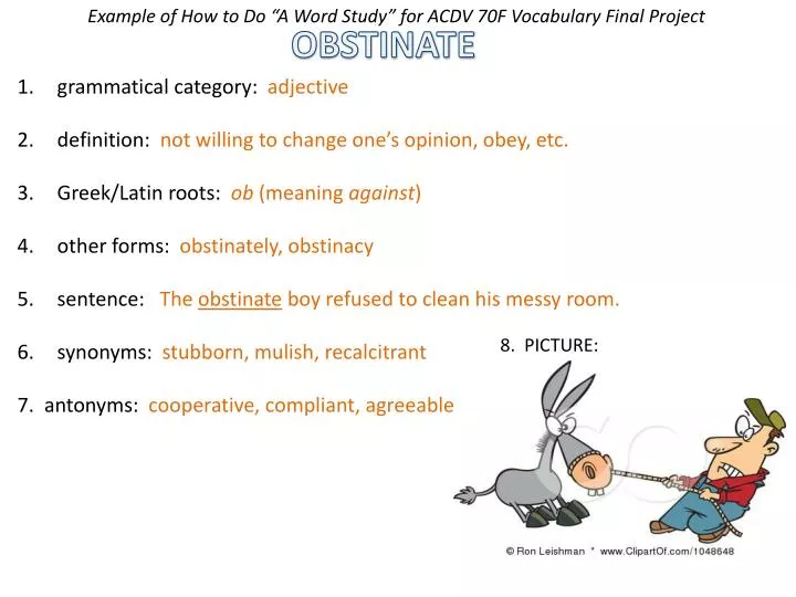 Word of the Day: Obstinate