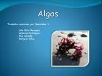 Algas - slide 1