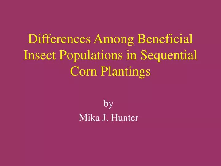 differences among beneficial insect populations in sequential corn plantings