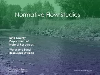 Normative Flow Studies