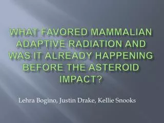 What favored mammalian adaptive radiation and was it already happening before the asteroid impact?