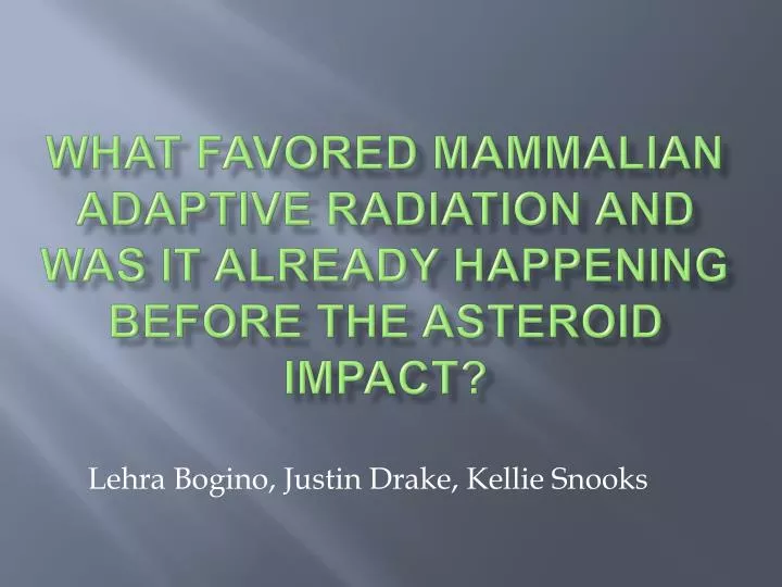 what favored mammalian adaptive radiation and was it already happening before the asteroid impact