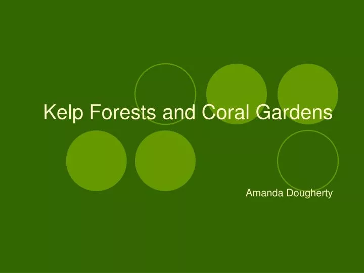 kelp forests and coral gardens