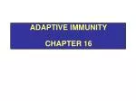 Adaptive immunity Chapter 16 - slide 1