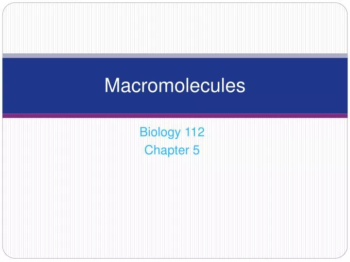 macromolecules