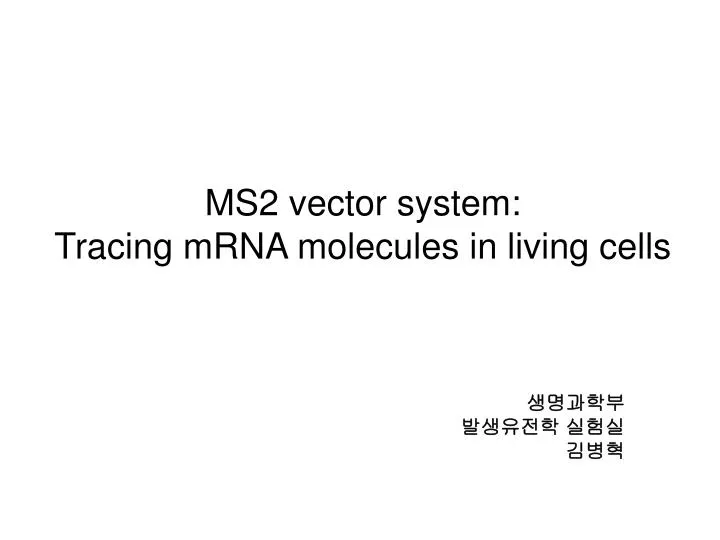 ms2 vector system tracing mrna molecules in living cells