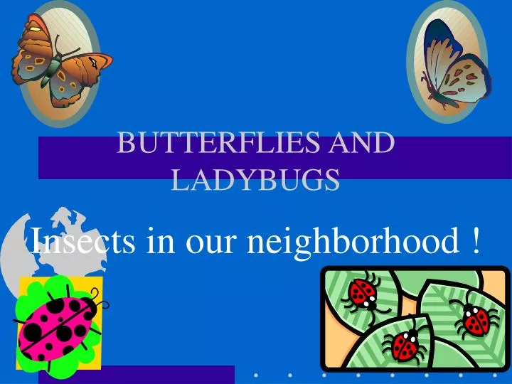 butterflies and ladybugs