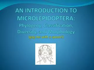 AN INTRODUCTION TO MICROLEPIDOPTERA: Phylogeny, Classification, Diversity, and Morphology (gag me with a spoon!)
