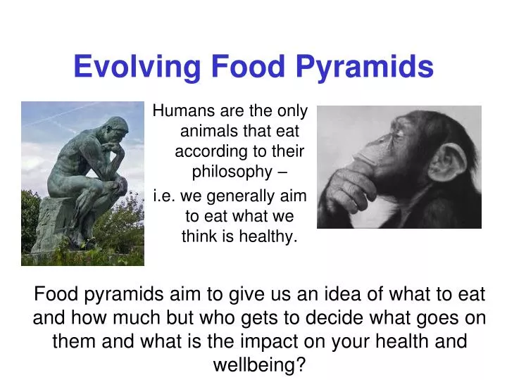 evolving food pyramids