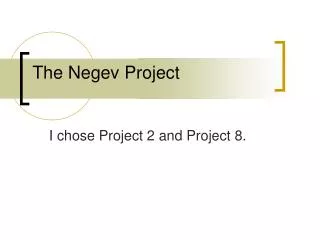 The Negev Project